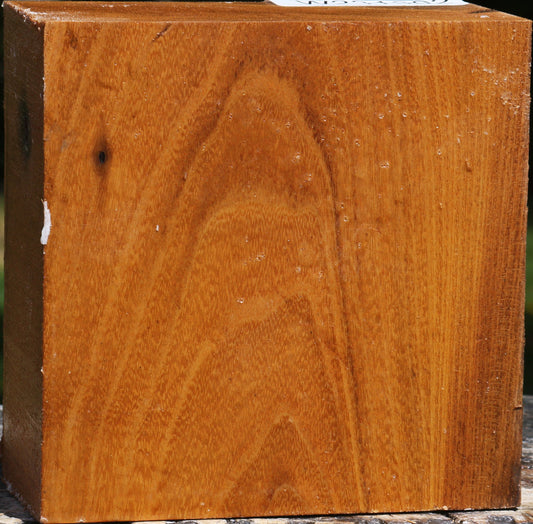 Silver Wattle Bowl Blank