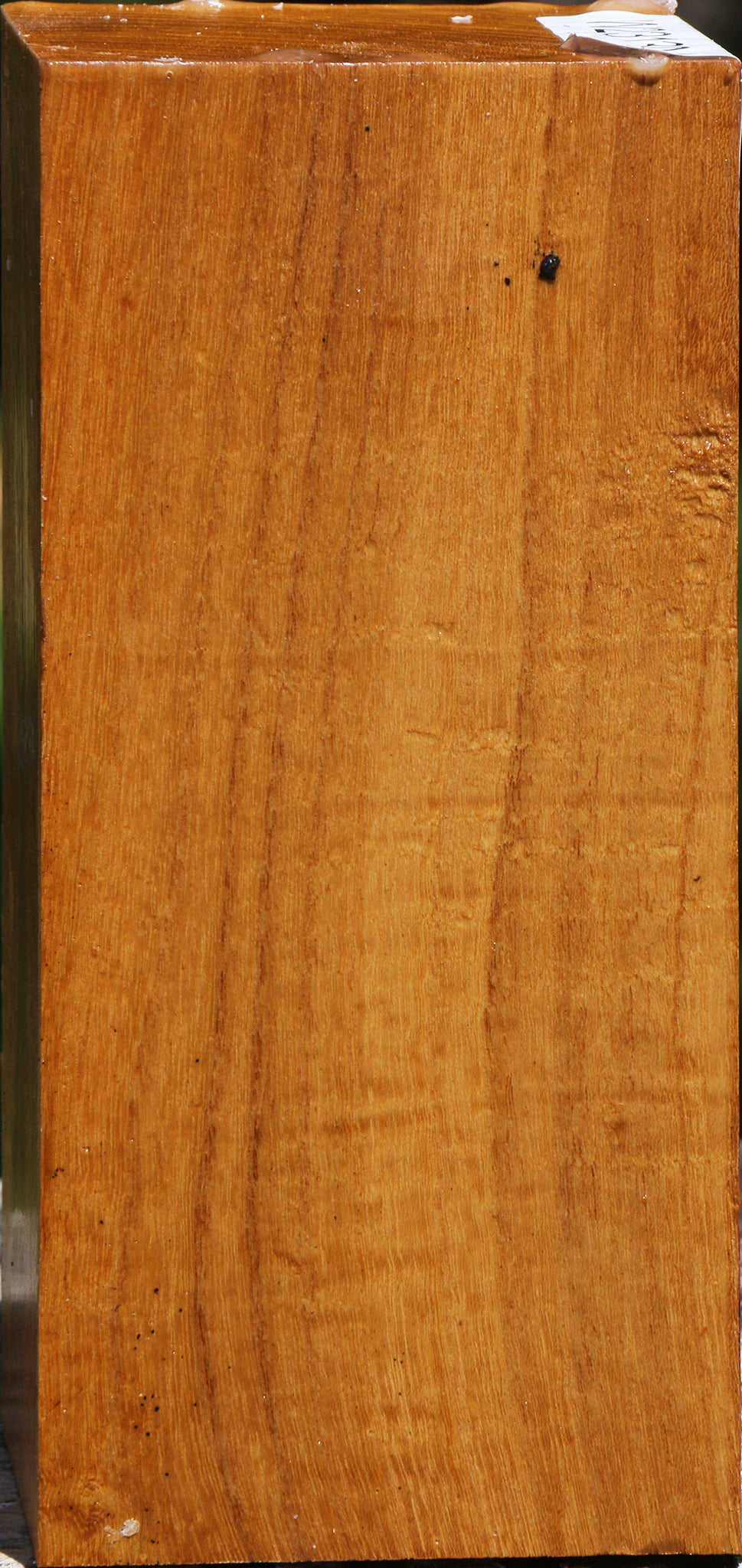 Figured Silver Wattle Turning Square