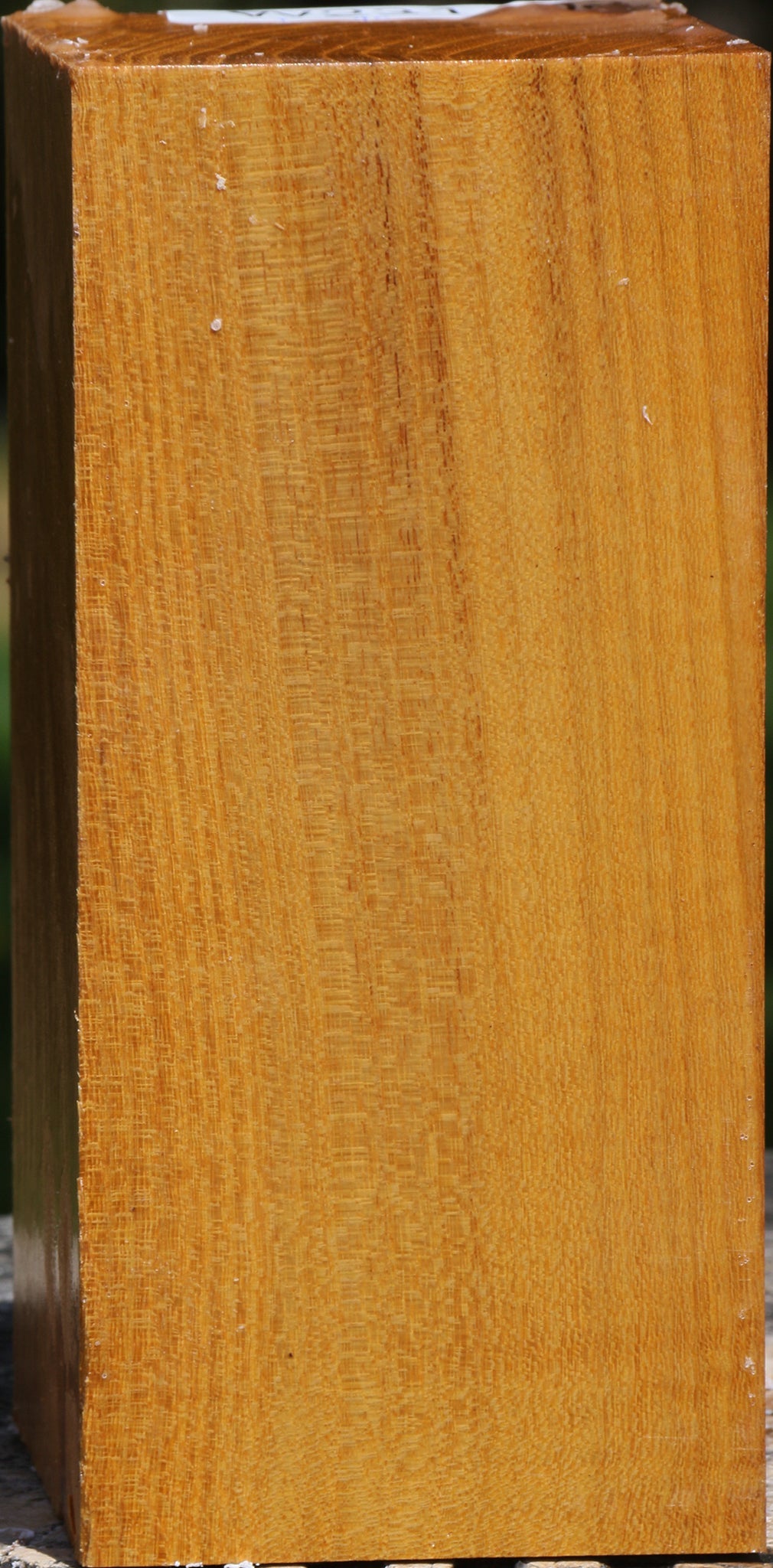 Figured Silver Wattle Turning Square