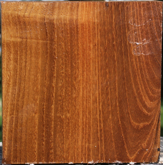 Silver Wattle Bowl Blank