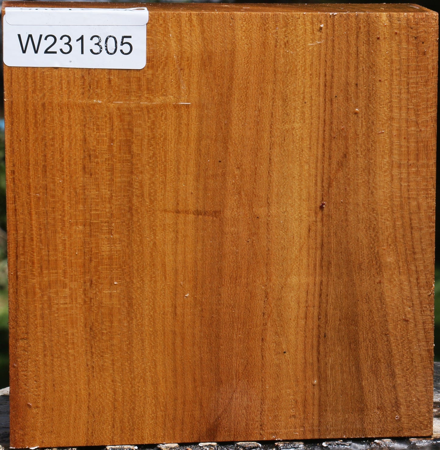 Silver Wattle Bowl Blank