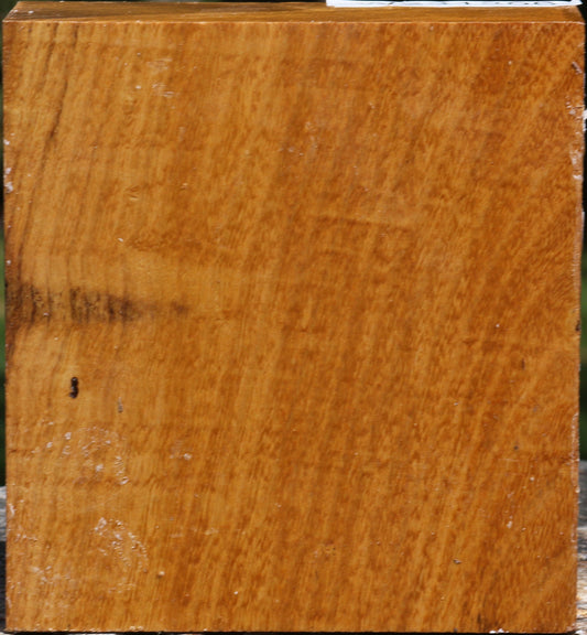 Silver Wattle Bowl Blank