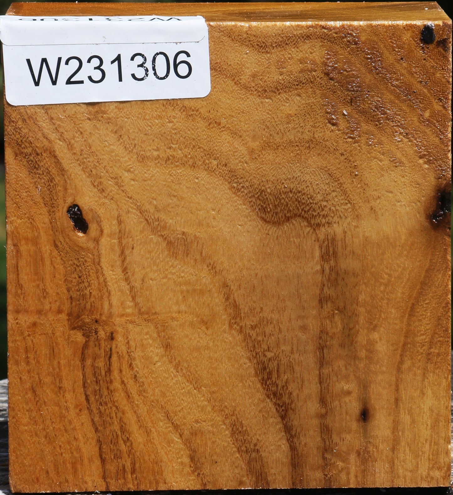 Silver Wattle Bowl Blank