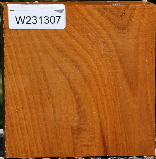 Silver Wattle Bowl Blank