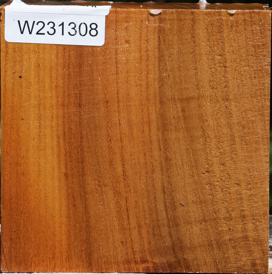 Silver Wattle Bowl Blank