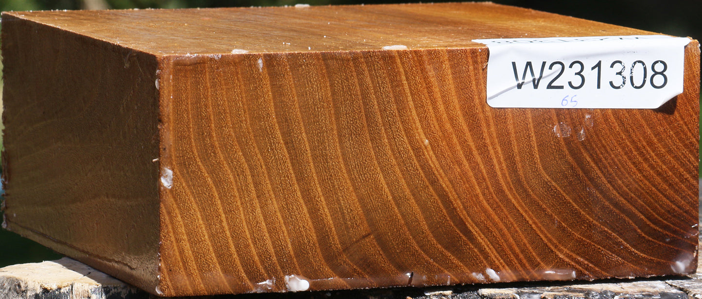 Silver Wattle Bowl Blank