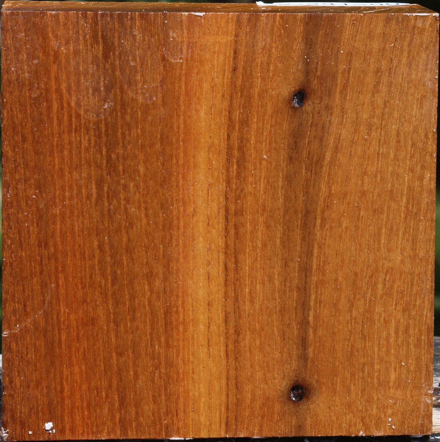 Silver Wattle Bowl Blank