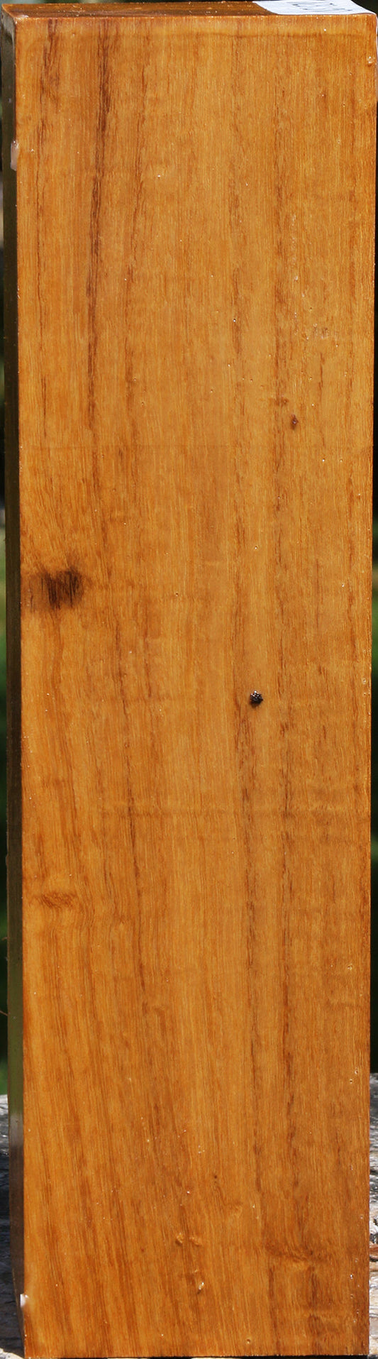 Silver Wattle Peppermill