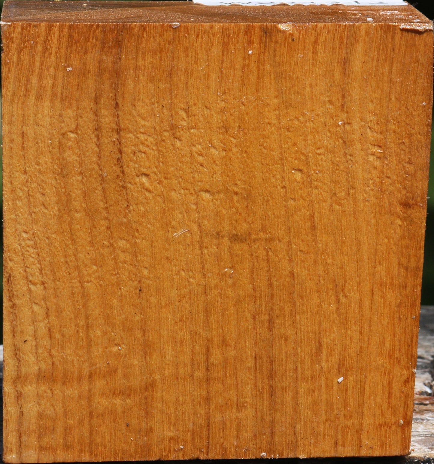 Figured Silver Wattle Bowl Blank