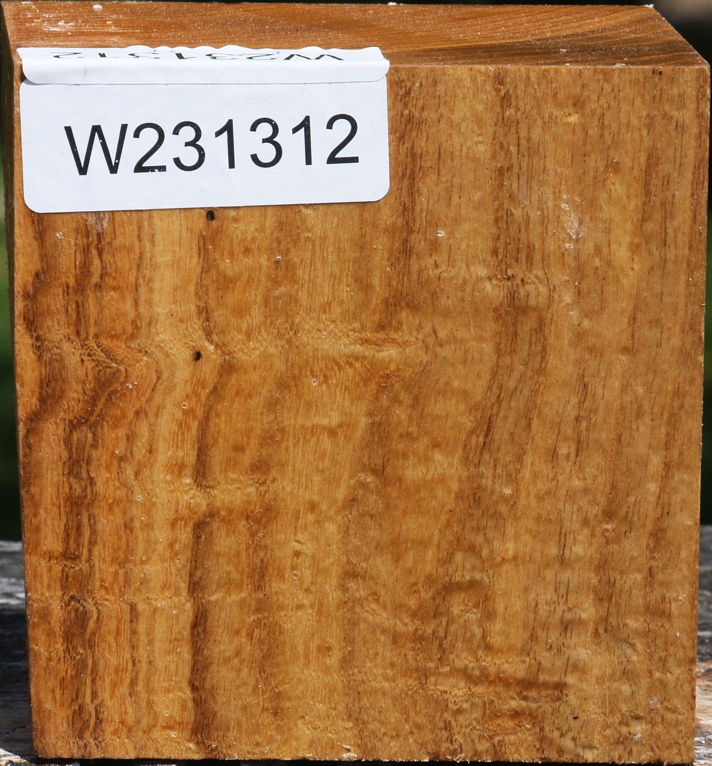 Figured Silver Wattle Bowl Blank