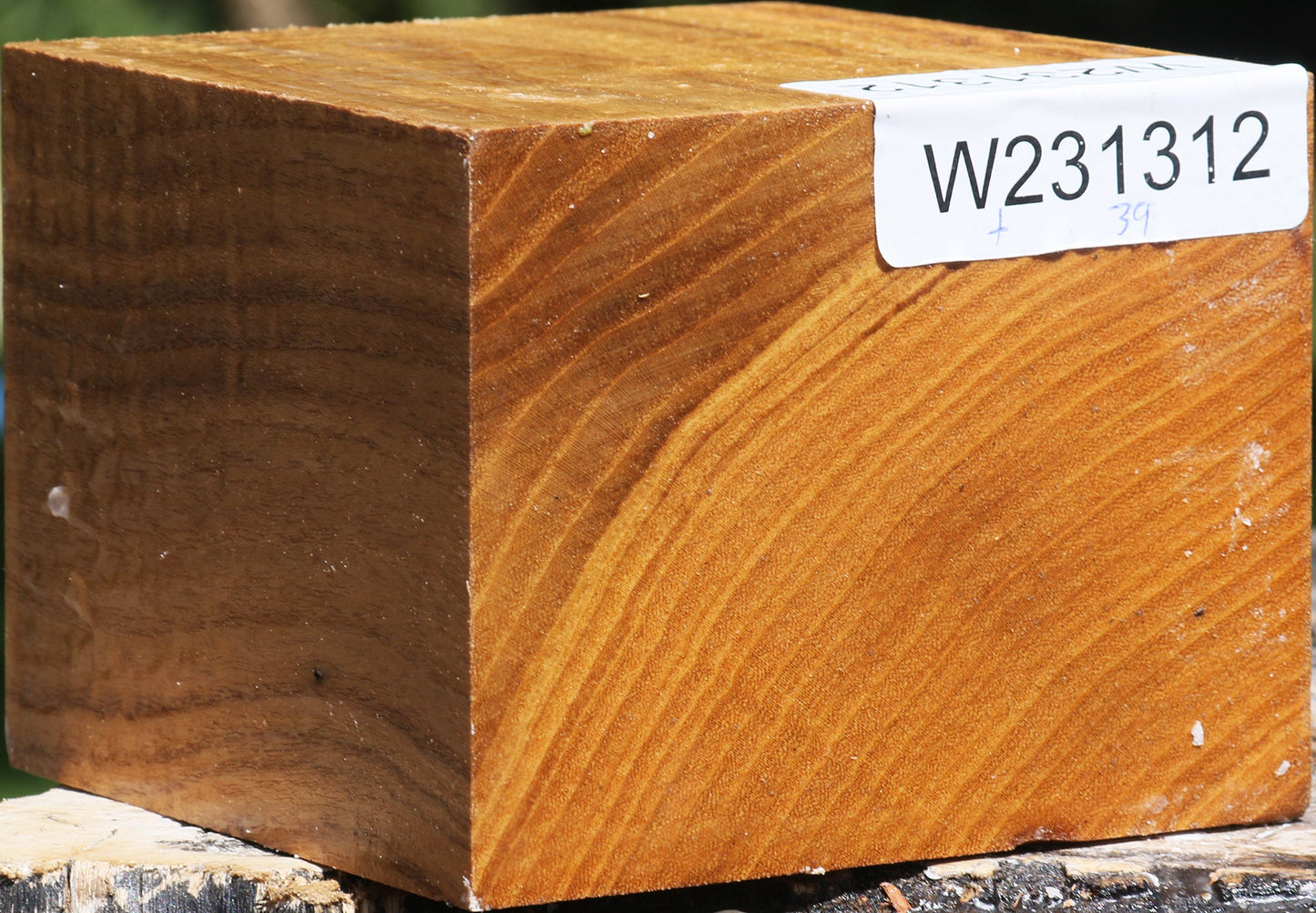 Figured Silver Wattle Bowl Blank