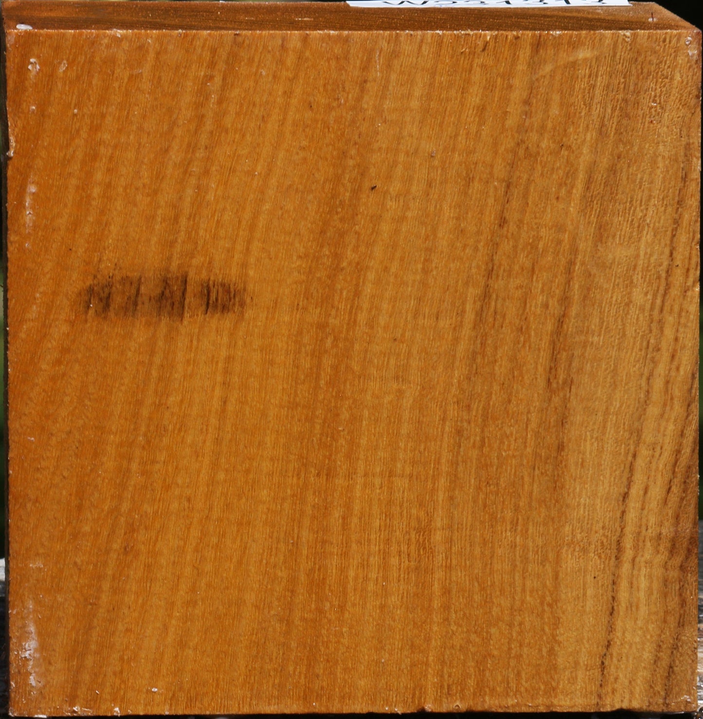 Silver Wattle Bowl Blank