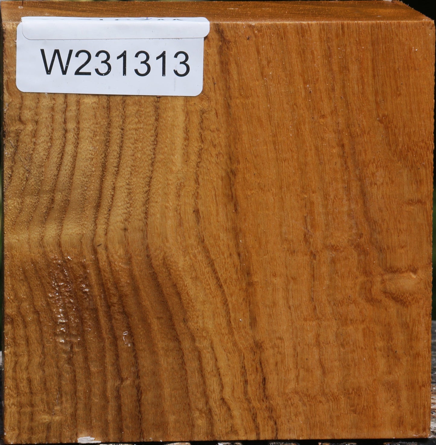 Silver Wattle Bowl Blank