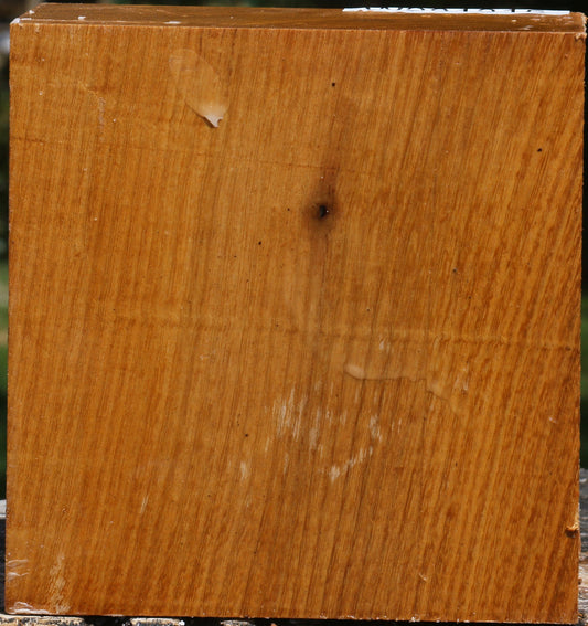 Silver Wattle Bowl Blank