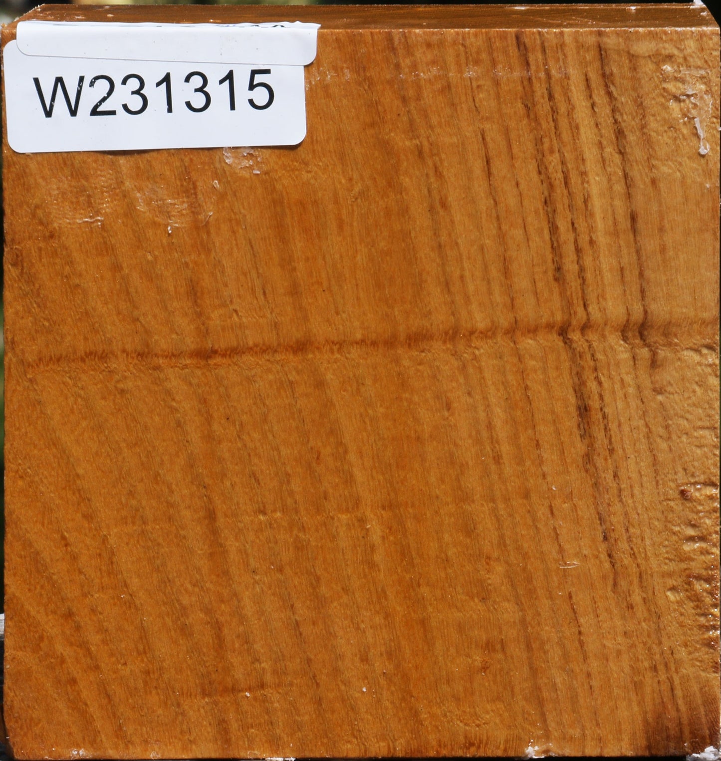 Silver Wattle Bowl Blank