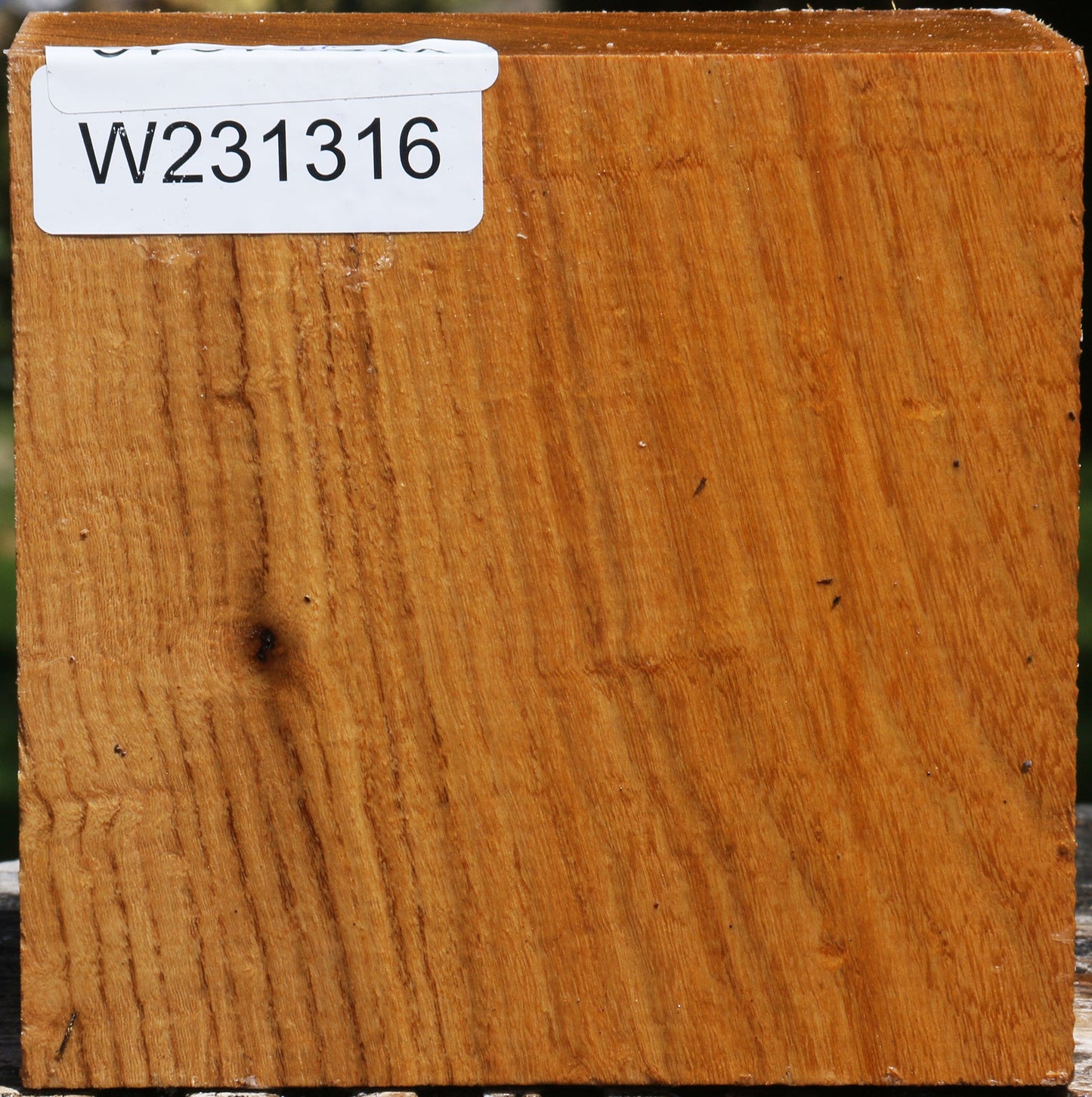 Silver Wattle Bowl Blank