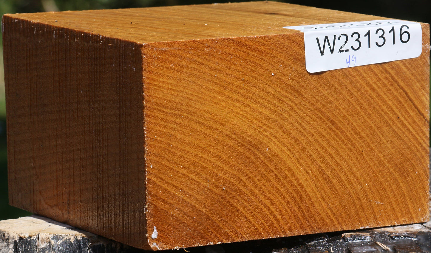 Silver Wattle Bowl Blank