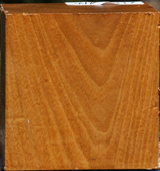 Silver Wattle Bowl Blank