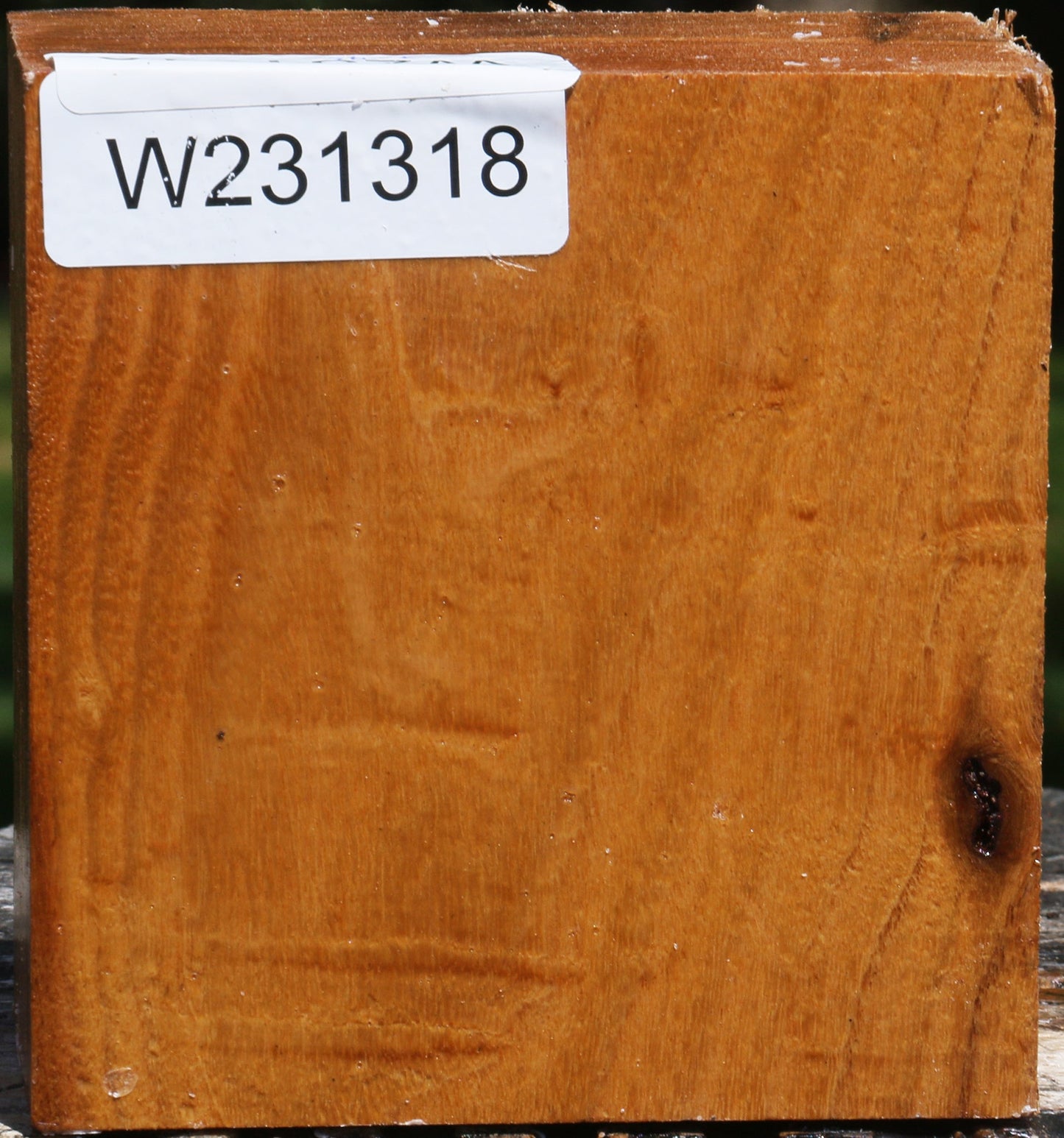 Figured Silver Wattle Bowl Blank