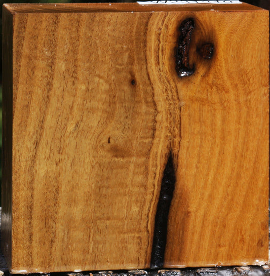 Figured Silver Wattle Bowl Blank