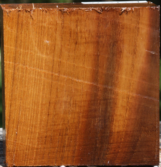 Silver Wattle Bowl Blank