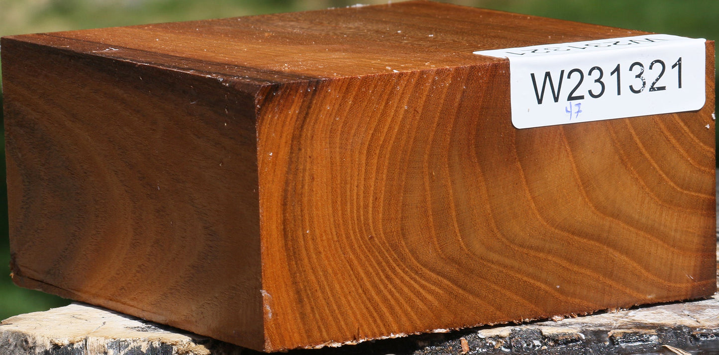 Silver Wattle Bowl Blank