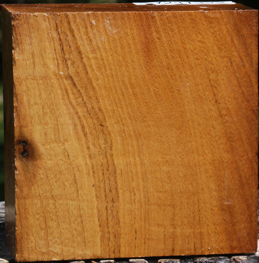 Figured Silver Wattle Bowl Blank