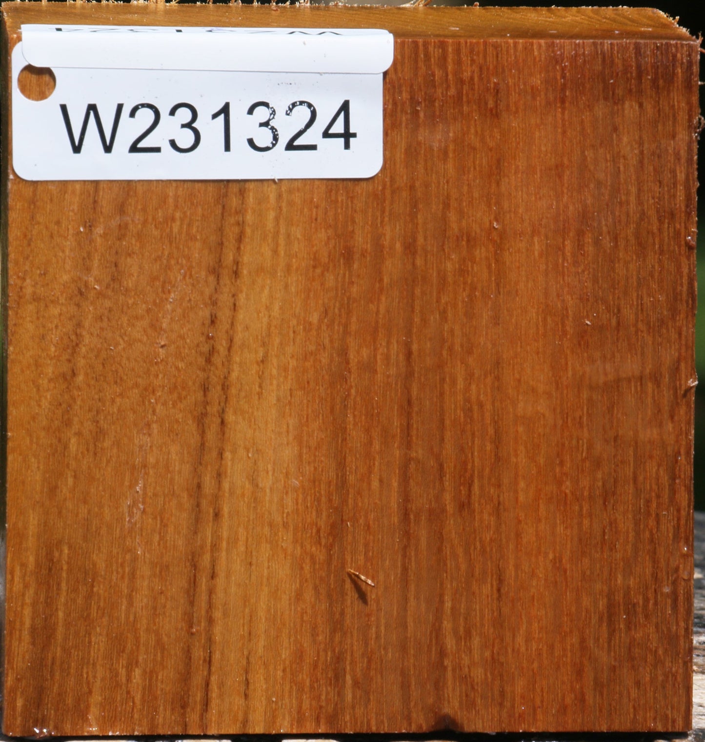 Silver Wattle Bowl Blank