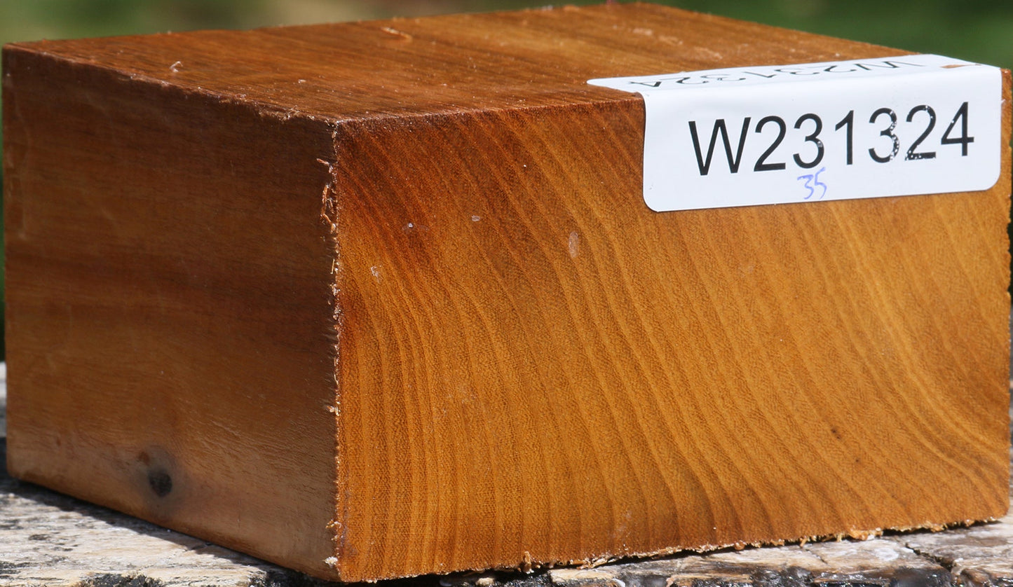 Silver Wattle Bowl Blank