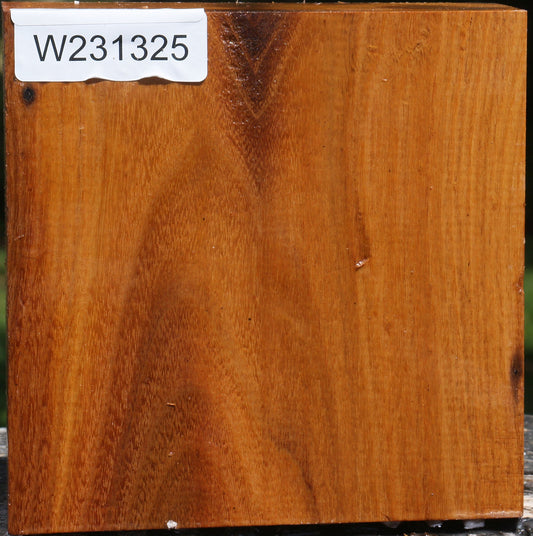 Silver Wattle Bowl Blank