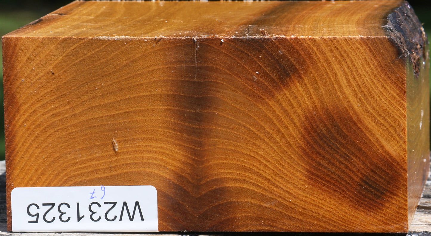 Silver Wattle Bowl Blank