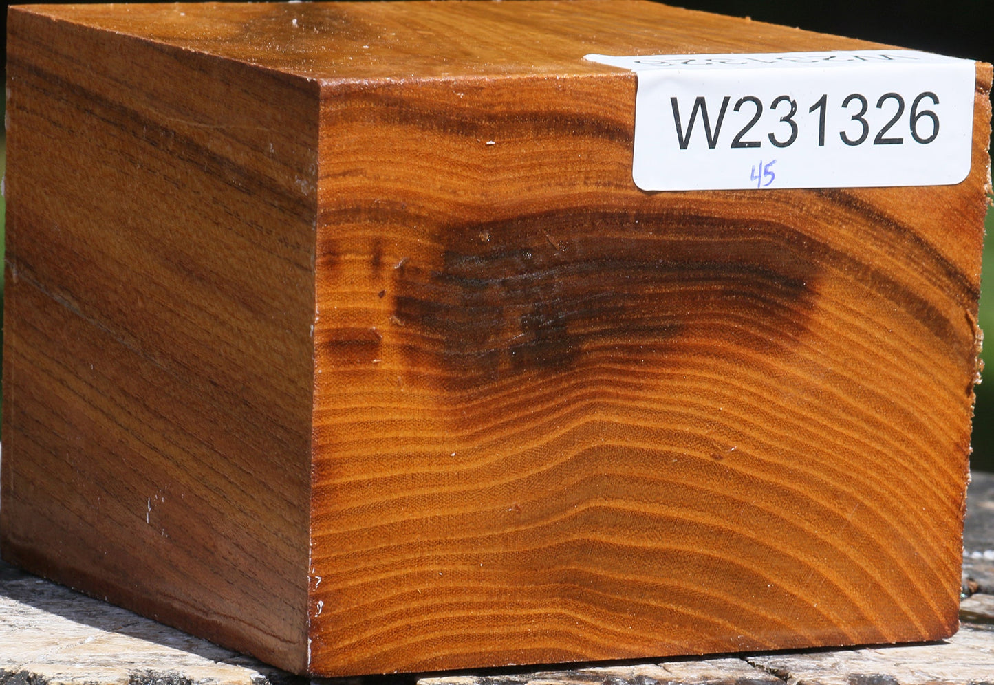 Silver Wattle Bowl Blank