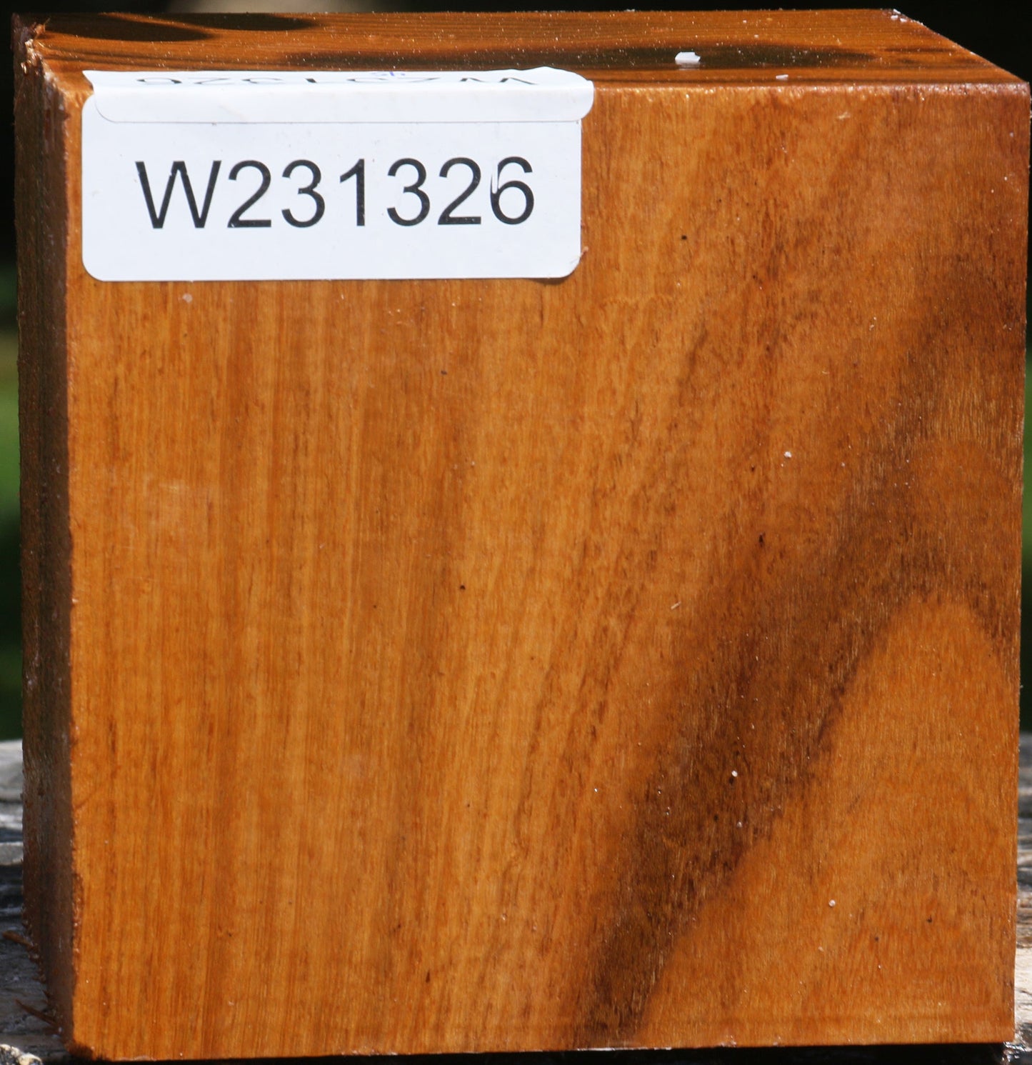 Silver Wattle Bowl Blank