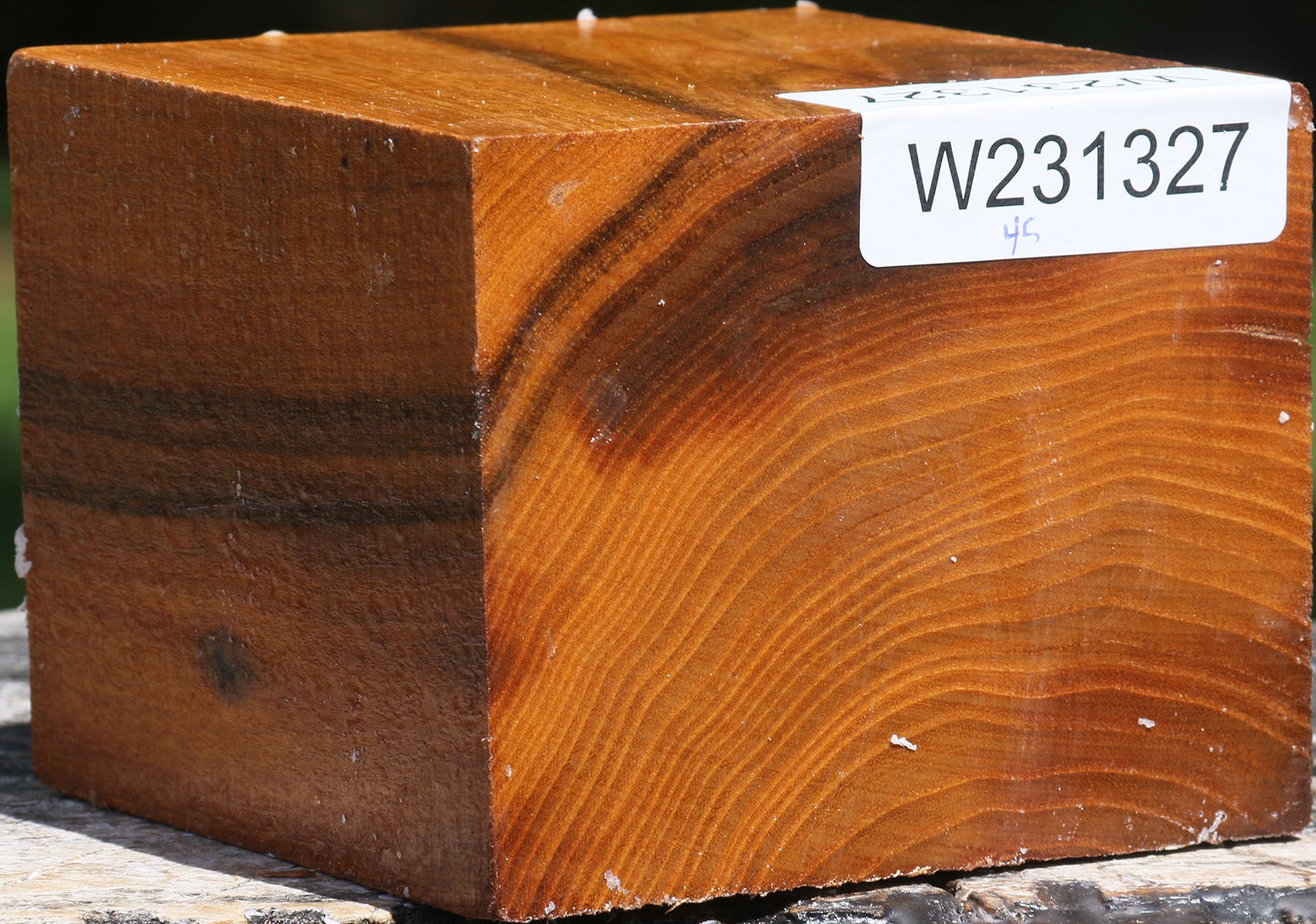 Silver Wattle Bowl Blank