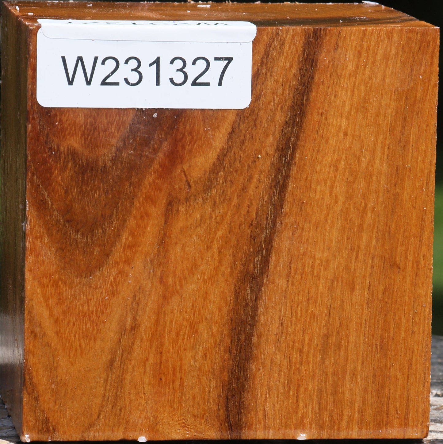 Silver Wattle Bowl Blank