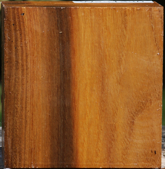 Silver Wattle Bowl Blank