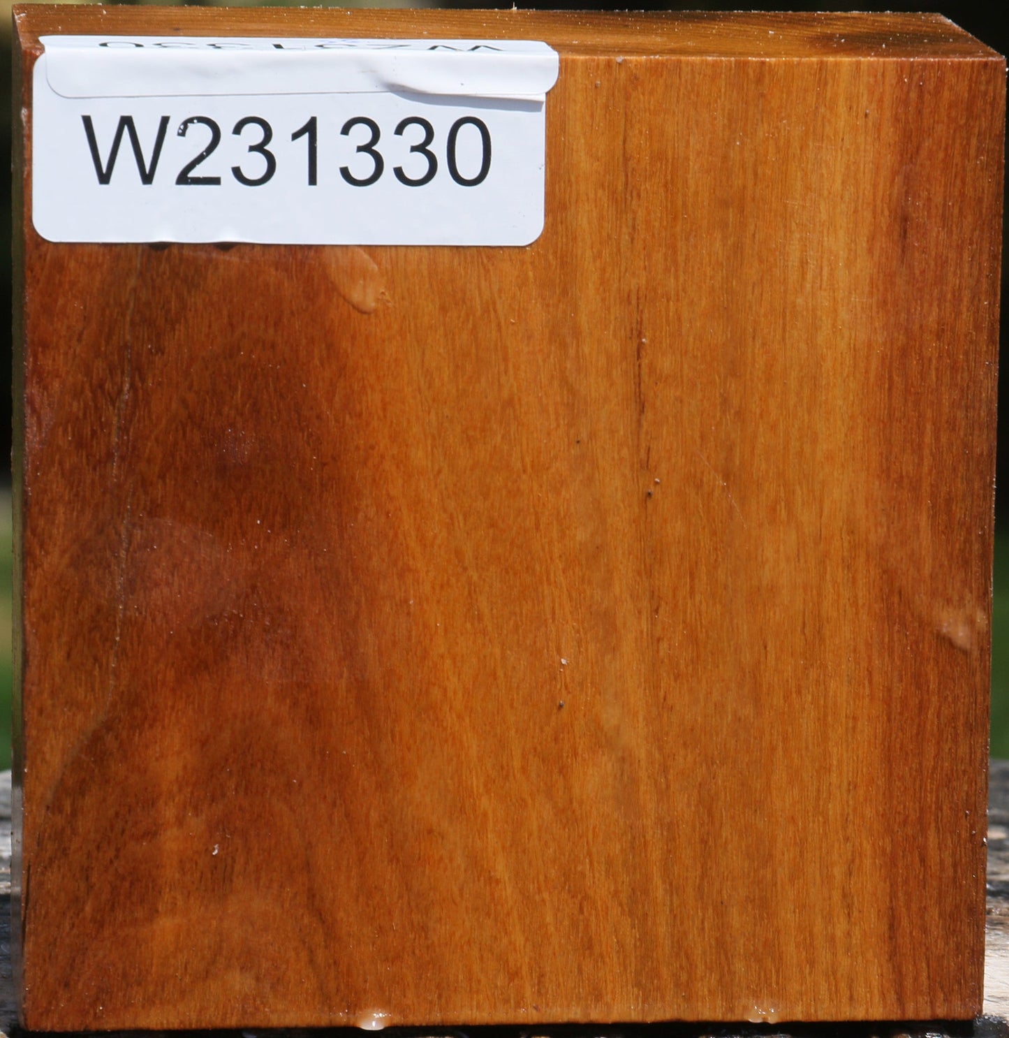 Silver Wattle Bowl Blank