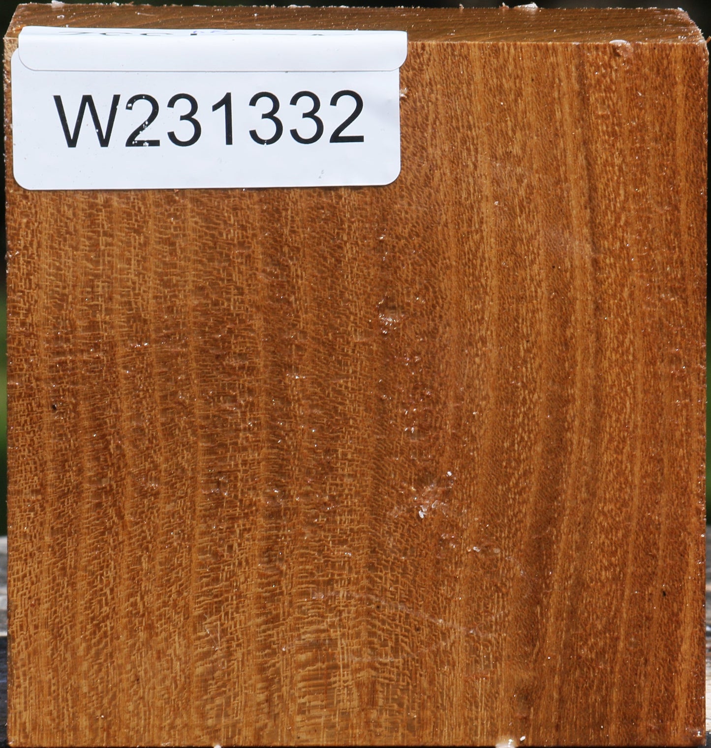 Silver Wattle Bowl Blank