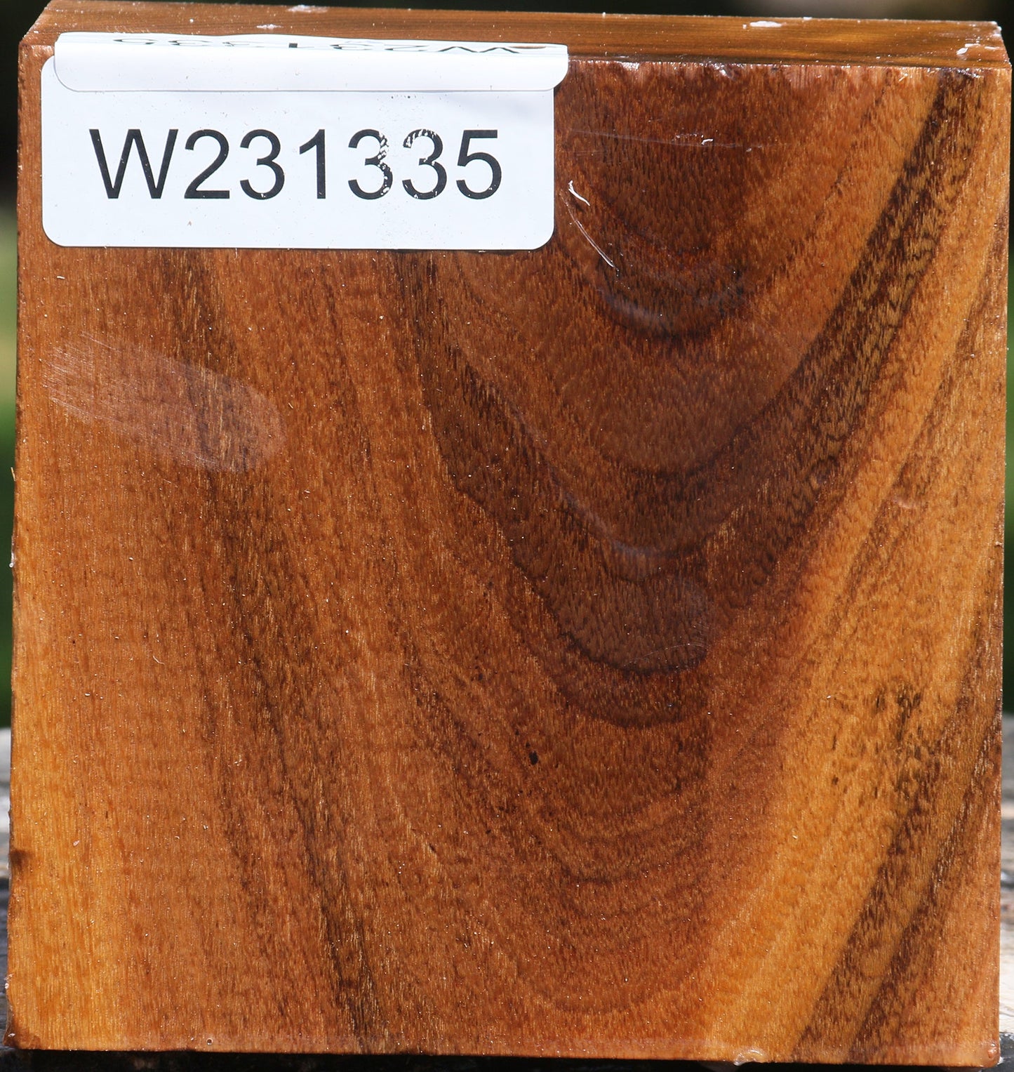 Silver Wattle Bowl Blank