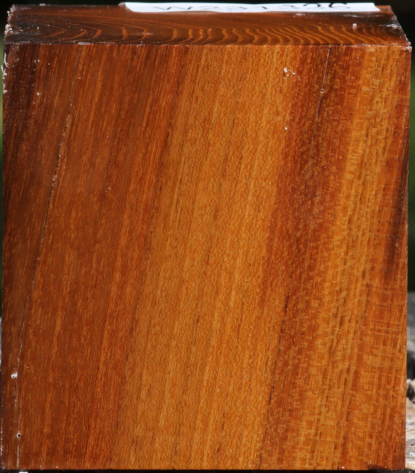 Silver Wattle Bowl Blank