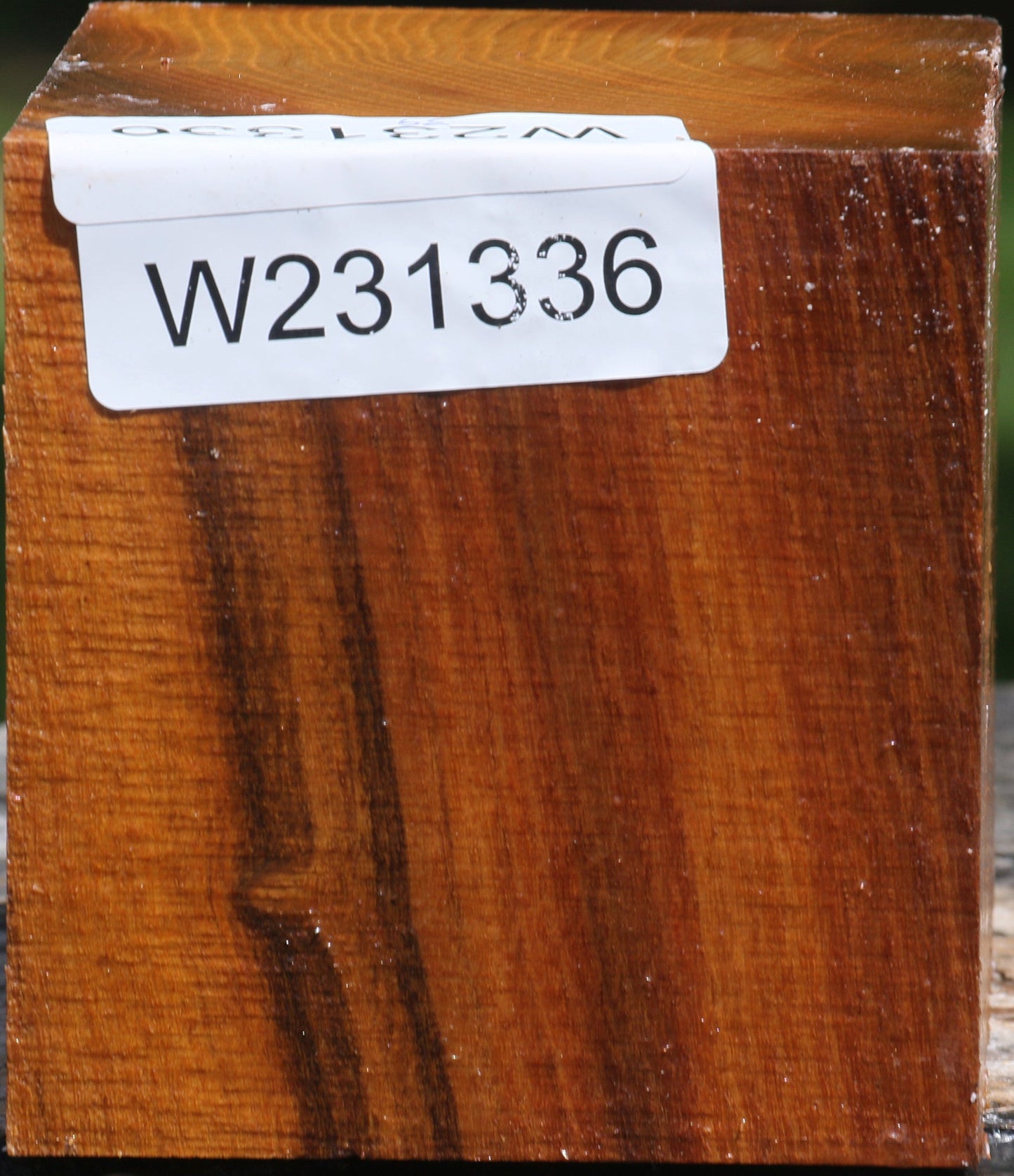 Silver Wattle Bowl Blank