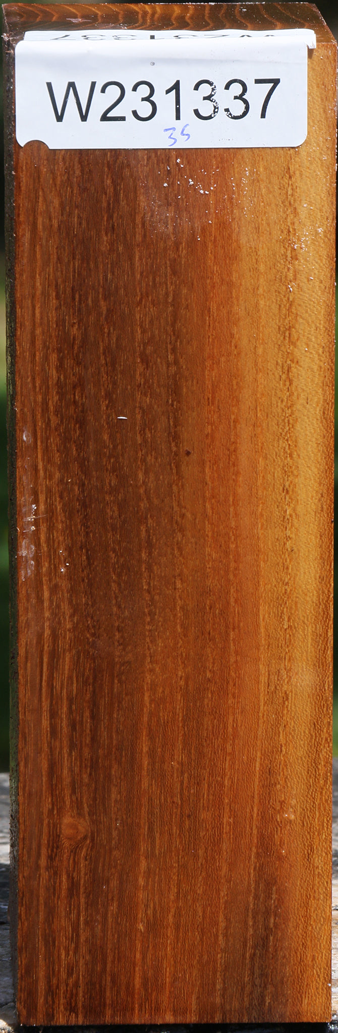 Silver Wattle Peppermill