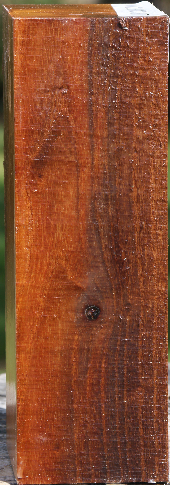 Silver Wattle Peppermill