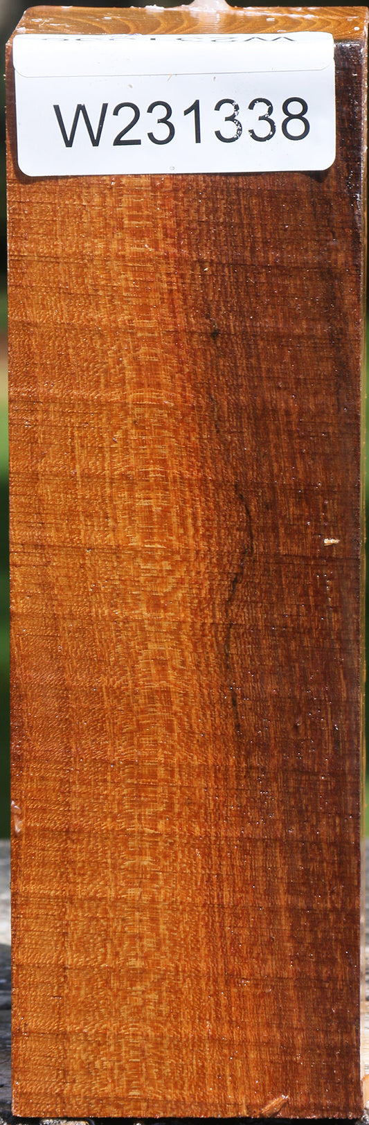 Silver Wattle Peppermill