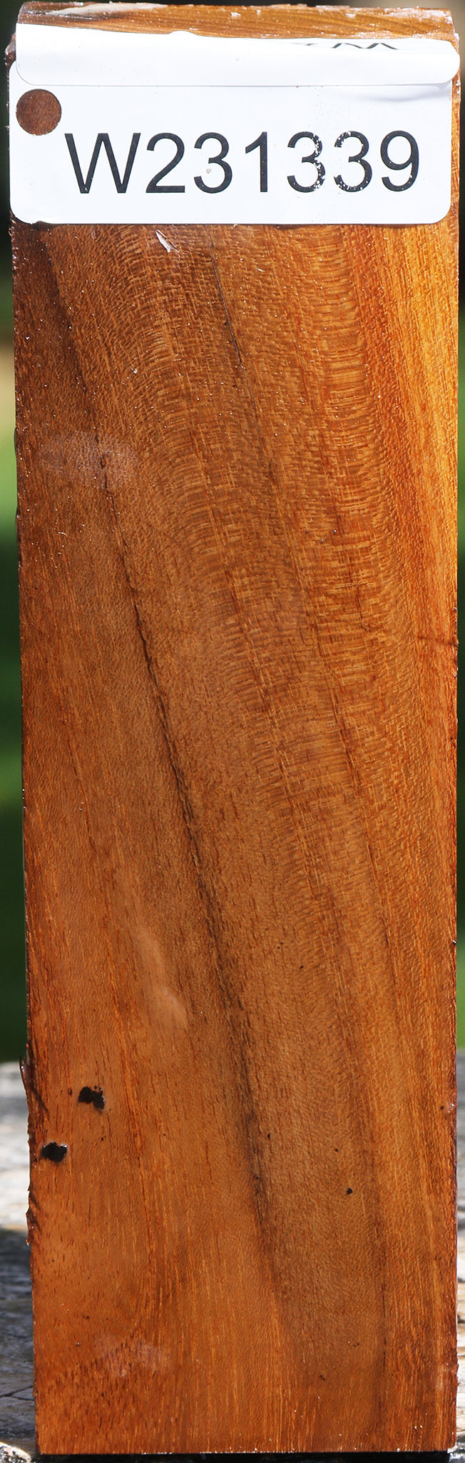 Silver Wattle Turning Square