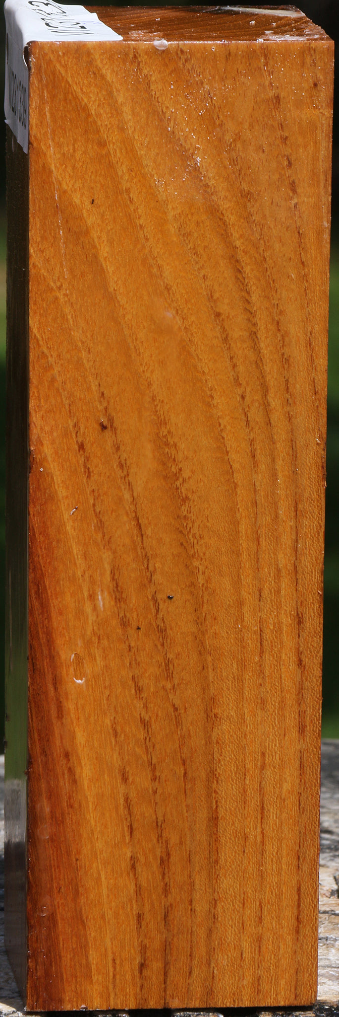 Silver Wattle Turning Square