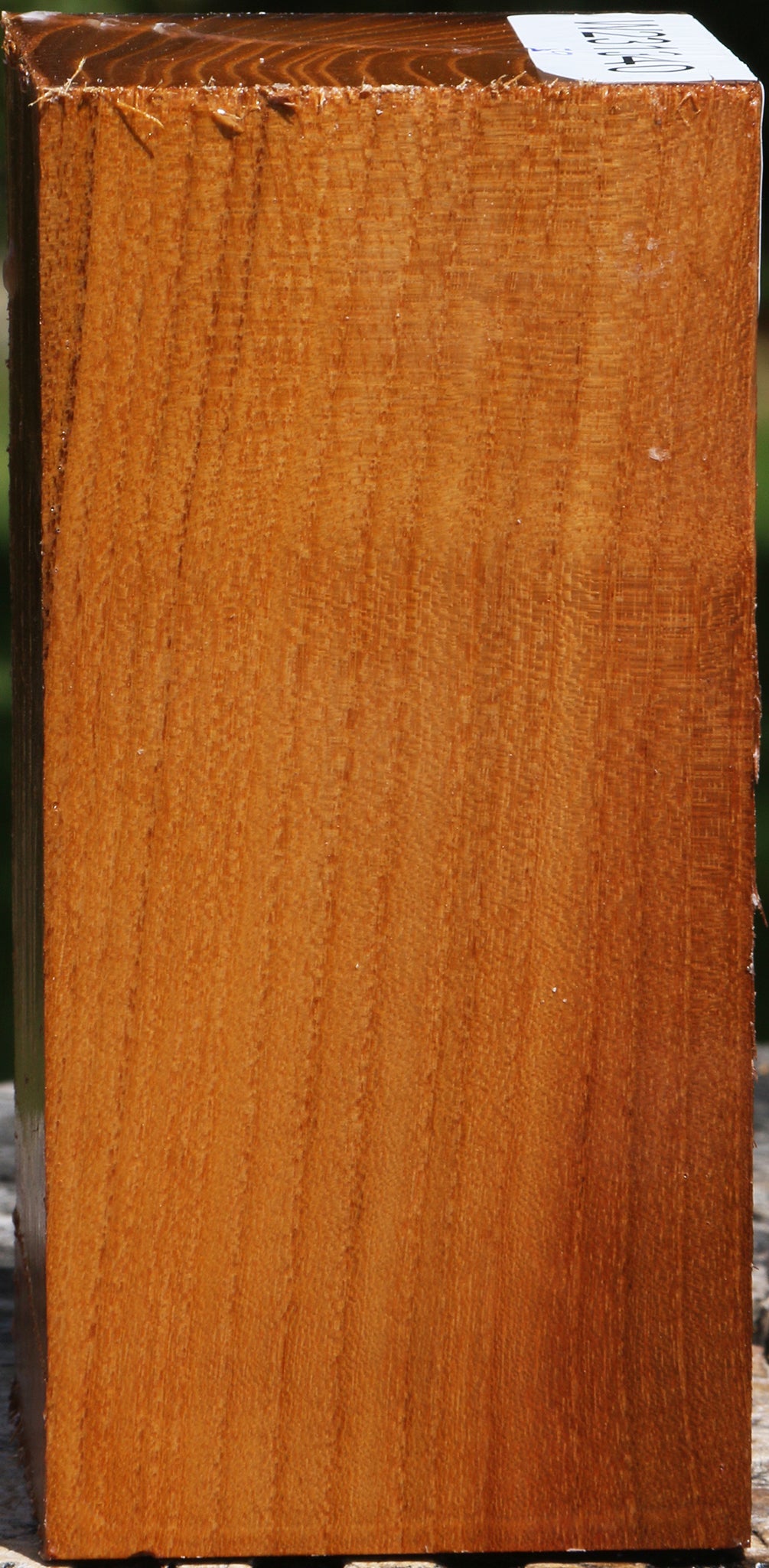 Silver Wattle Turning Square