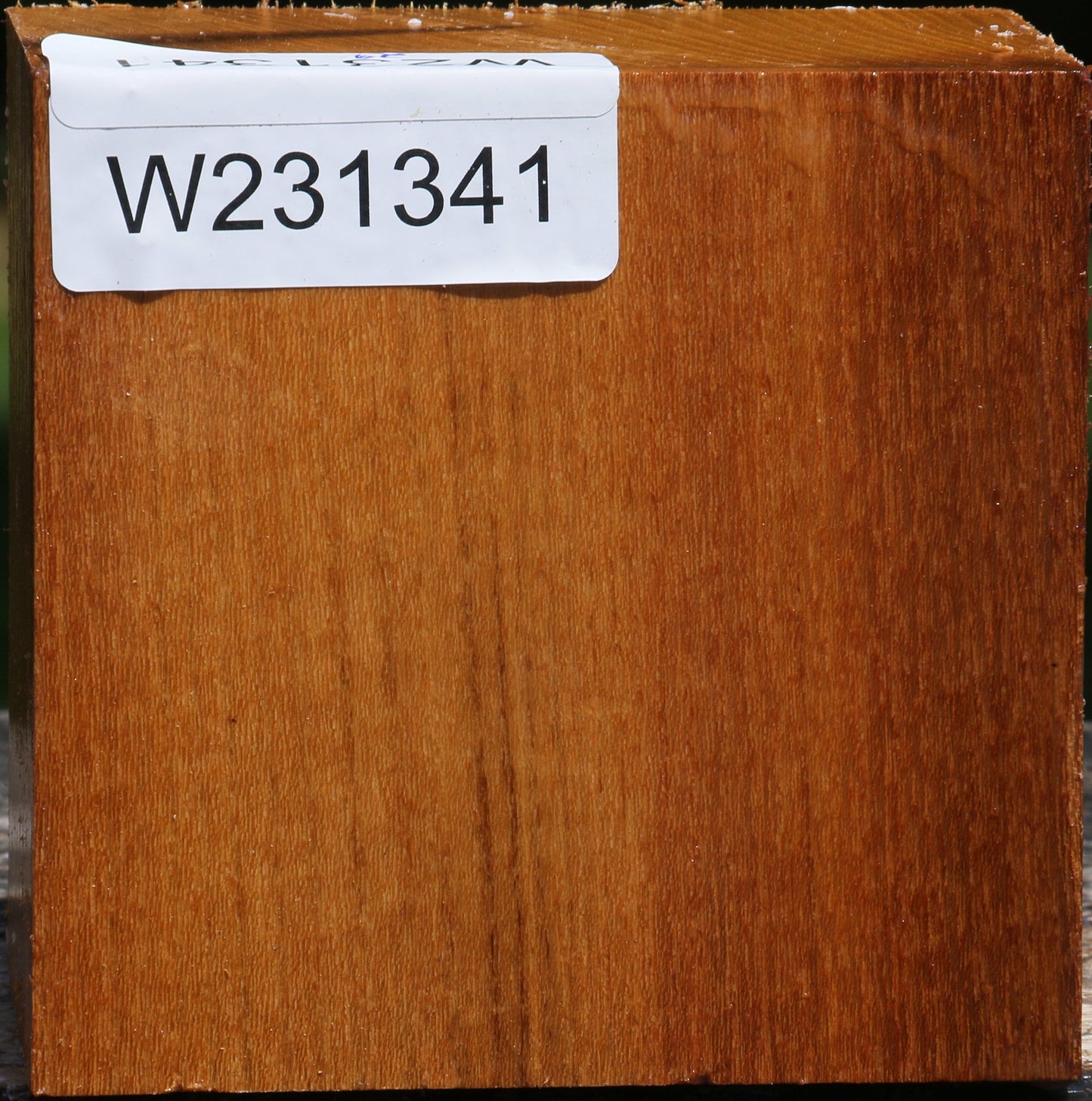 Silver Wattle Bowl Blank