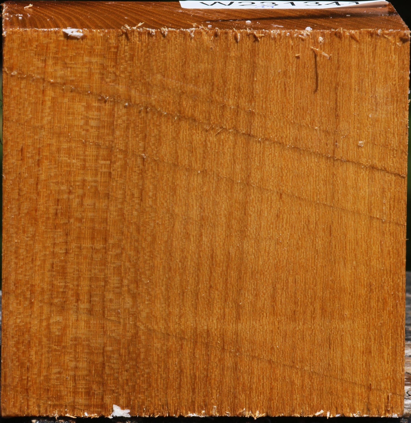 Silver Wattle Bowl Blank