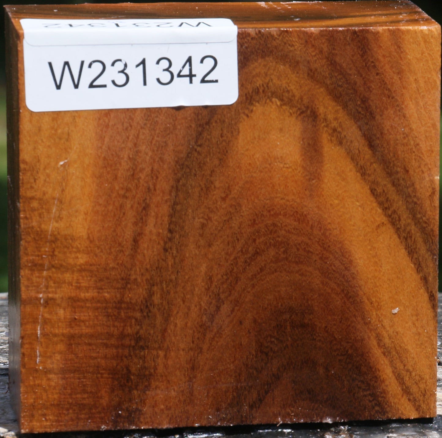 Silver Wattle Bowl Blank